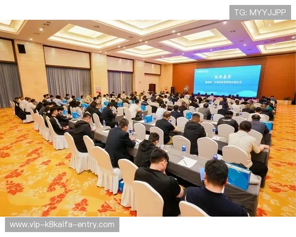 K8凯发集团网址最新官方入口地址，确保用户安全稳定的登录体验